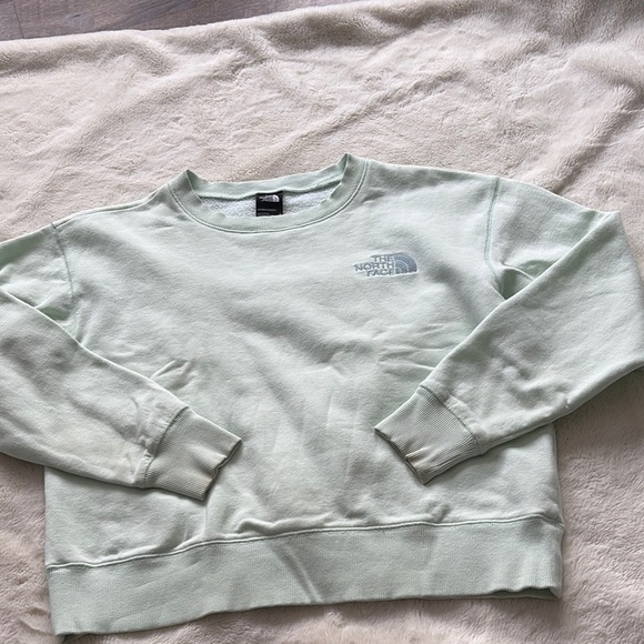 The North Face Crewneck Sweatshirt – Size Small | Light Green | Streetwear Layer - Picture 1 of 6